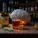 O Que o Alcool faz no Cerebro