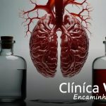 Alterações no organismo pelo álcool: como o corpo reage ao consumo