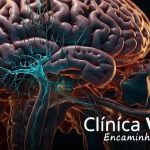 Impactos do álcool no sistema nervoso: o que você precisa saber agora