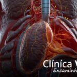Qual orgão metaboliza as drogas? Entenda seu papel no corpo e por que importa